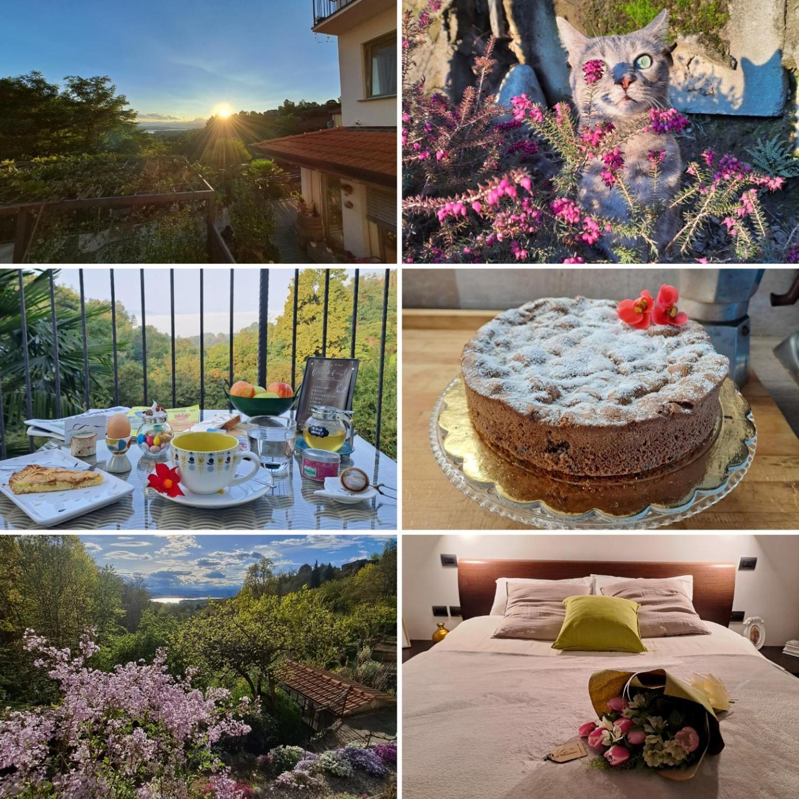 Al Nifontano B&B - Ideal For Family Or Couples - 2 Rooms - Lakeview Varese Exterior foto
